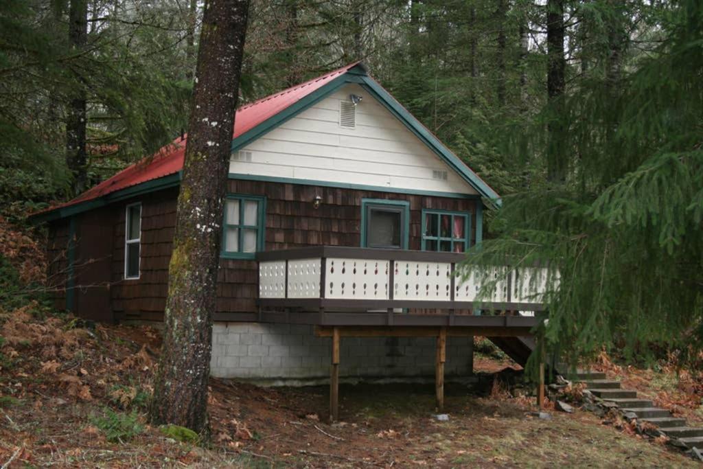 Mountainside Chalet - Tiny Home แพ็ควูด ภายนอก รูปภาพ