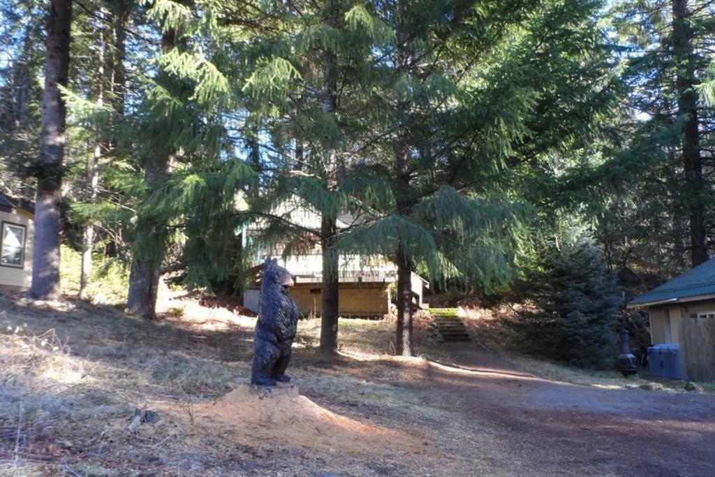 Mountainside Chalet - Tiny Home แพ็ควูด ภายนอก รูปภาพ